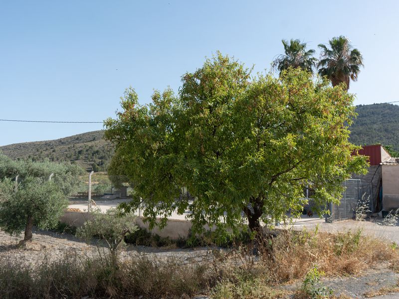 Fotografía del Rincón de los Carranzas