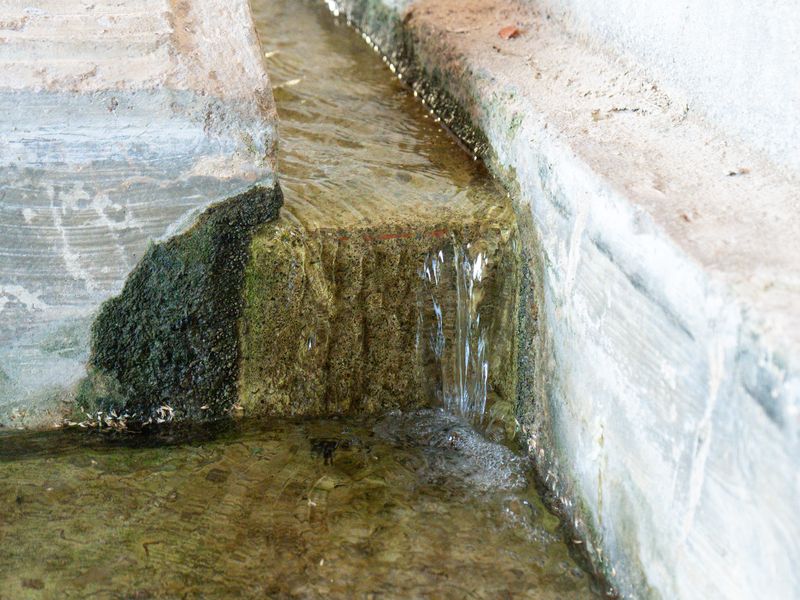 Fotografía del Rincón de los Carranzas, tomada para el proyecto