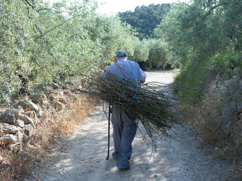 Fotografía del Rincón de los Carranzas, tomada para el proyecto