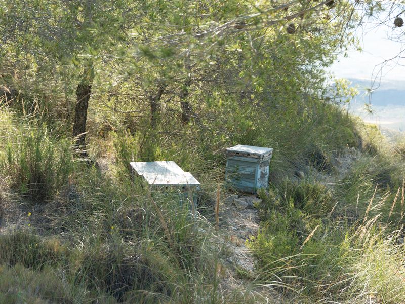 Fotografía del Rincón de los Carranzas, tomada para el proyecto