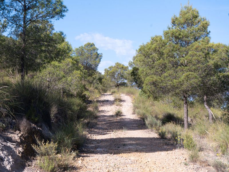 Fotografía del Rincón de los Carranzas, tomada para el proyecto
