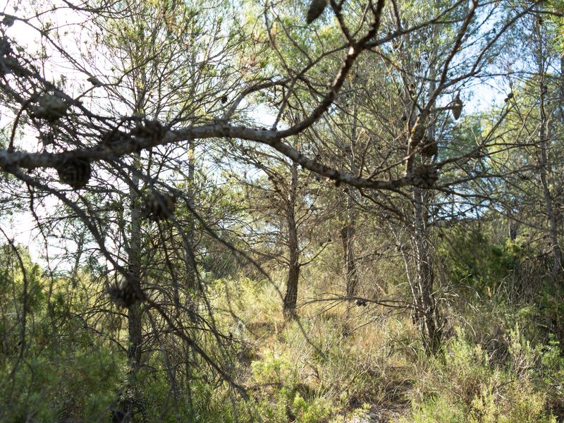 Fotografía del Rincón de los Carranzas, tomada para el proyecto