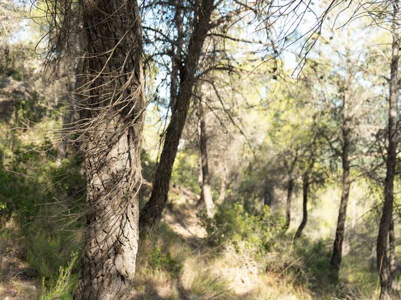 Fotografía del Rincón de los Carranzas, tomada para el proyecto