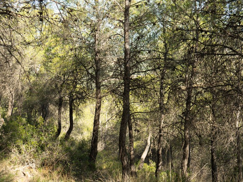 Fotografía del Rincón de los Carranzas, tomada para el proyecto