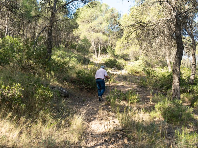 Fotografía del Rincón de los Carranzas, tomada para el proyecto