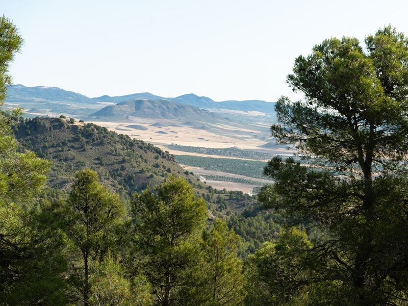 Fotografía del Rincón de los Carranzas, tomada para el proyecto
