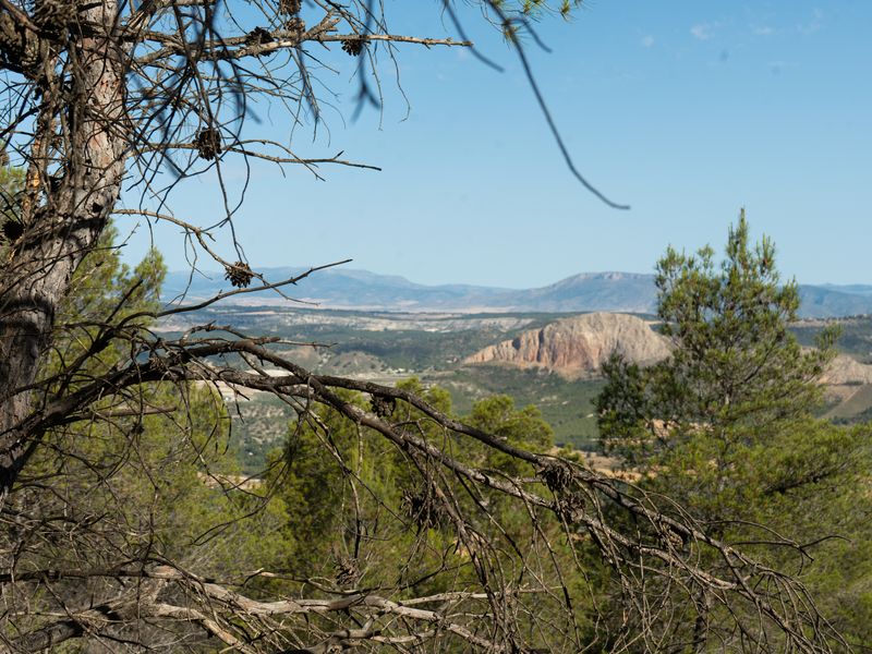 Fotografía del Rincón de los Carranzas, tomada para el proyecto