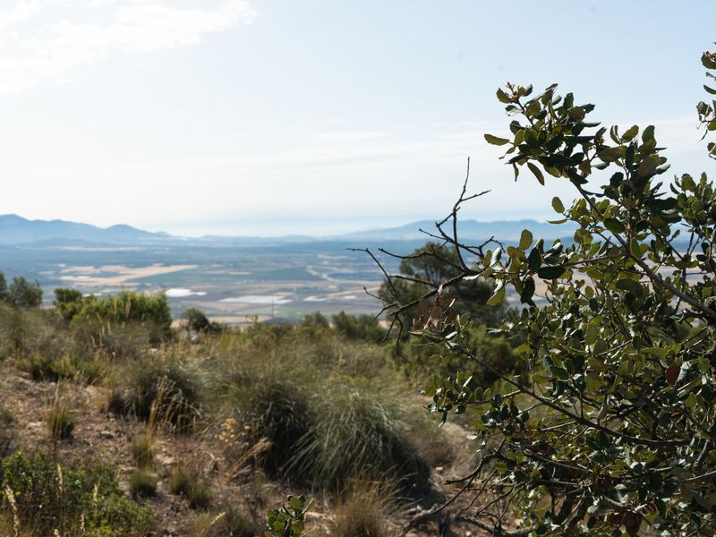 Fotografía del Rincón de los Carranzas, tomada para el proyecto