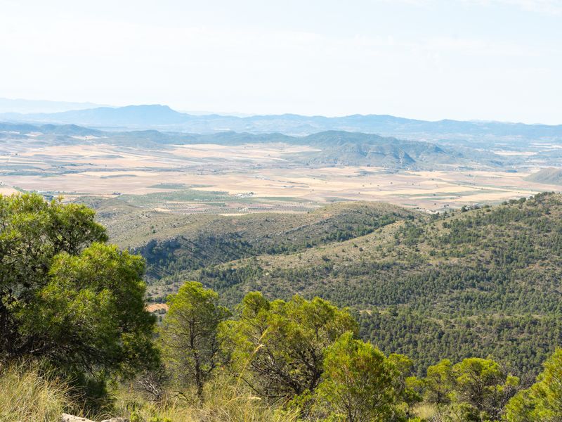 Fotografía del Rincón de los Carranzas, tomada para el proyecto