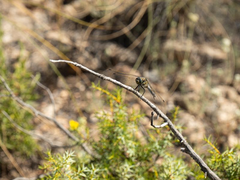 Fotografía del Rincón de los Carranzas, tomada para el proyecto