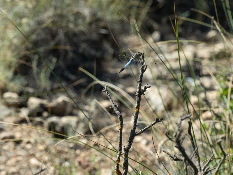 Fotografía del Rincón de los Carranzas, tomada para el proyecto