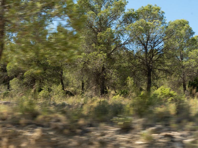 Fotografía del Rincón de los Carranzas